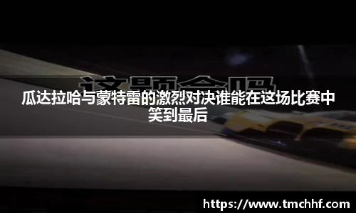 VSport平台
